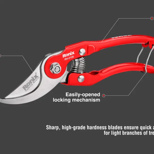 Pruning Shear-Sharp Model