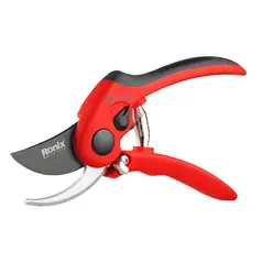 Pruning Shear-Virgo Model